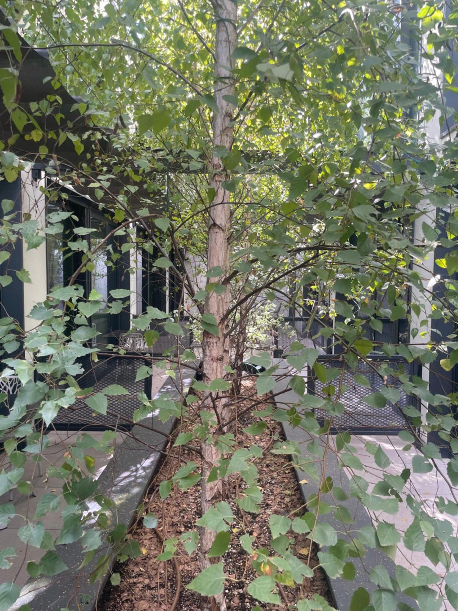 Versoverde Alzaia Naviglio Grande Aparthotel Milan